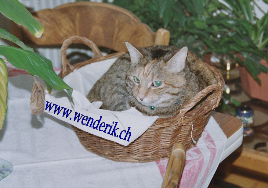 Image000_32A_w10pc.jpg