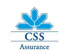 CSS...