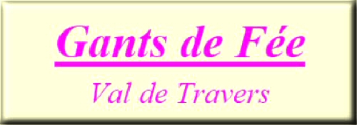 Gants de F�e...Pour vos Mains...