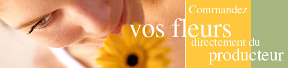 Swissflowers...