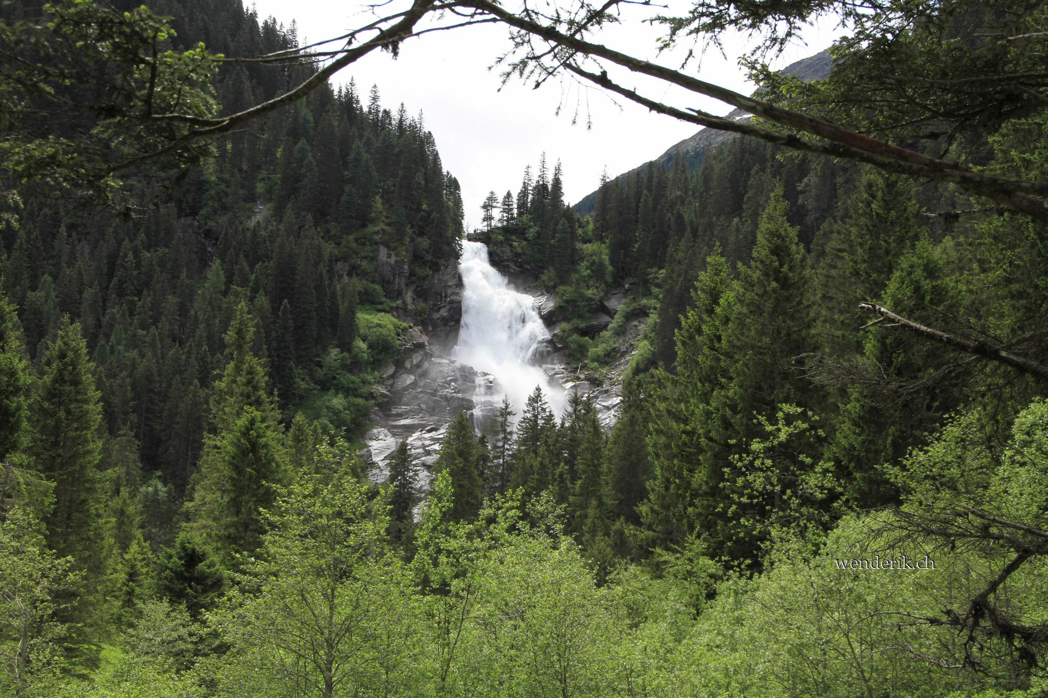 IMG_7436_L2048w1.jpg