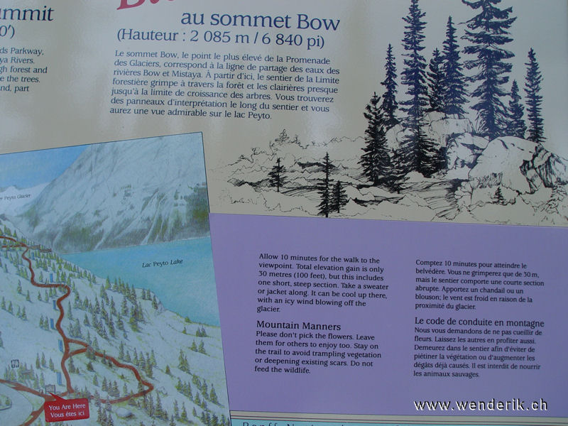 DSC01875_w_h6001.jpg