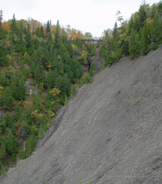 DSC05462_w_h600_c15.jpg