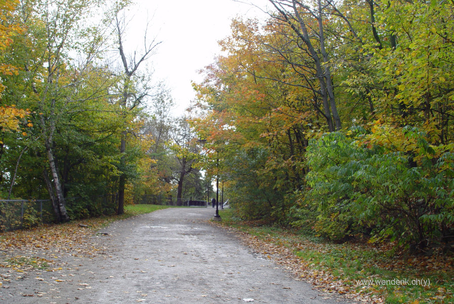 DSC05485_w_h600_c15.jpg