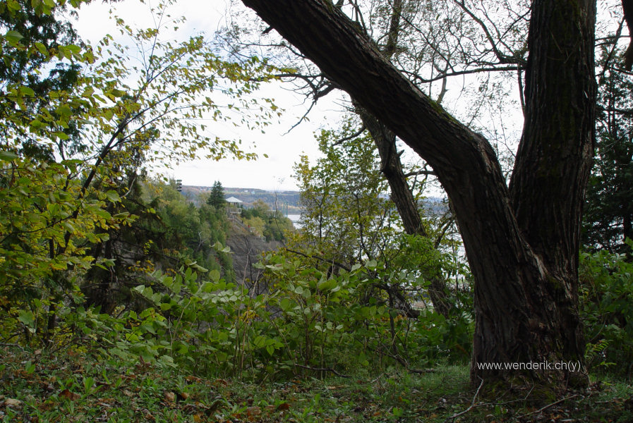 DSC05486_w_h600_c15.jpg
