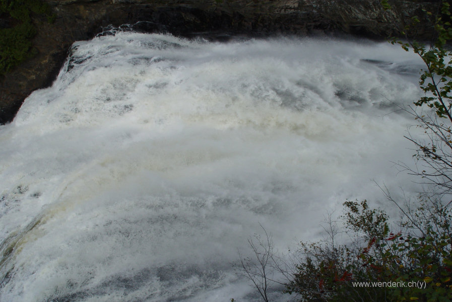 DSC05513_w_h600_c15.jpg