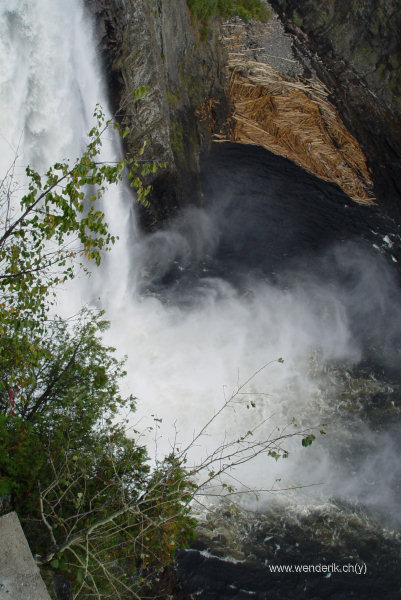 DSC05514_w_h600_c15.jpg