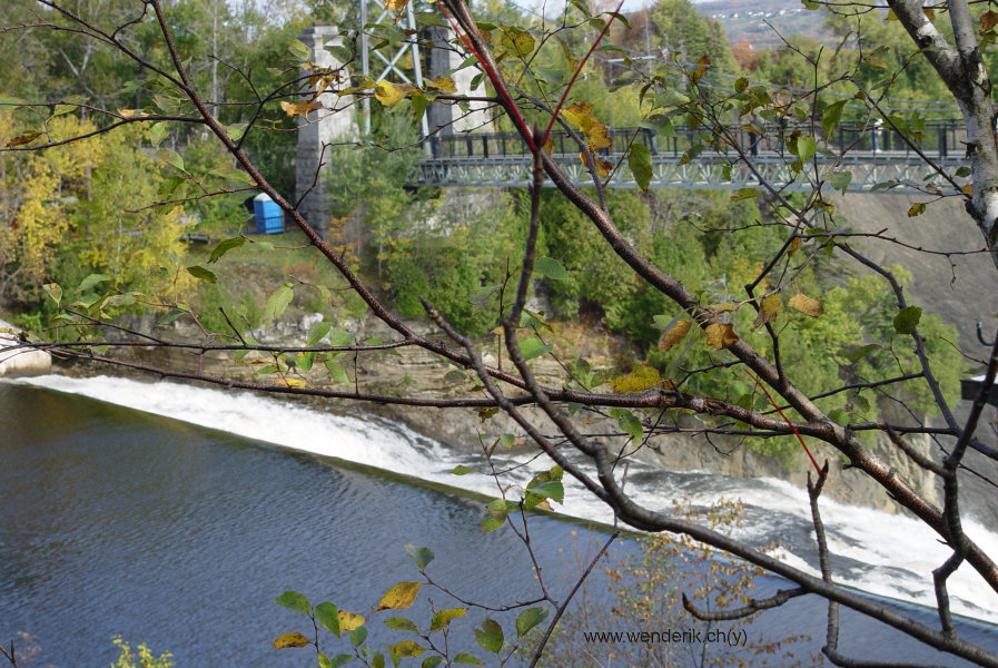 DSC05522_w_h600_c15.jpg