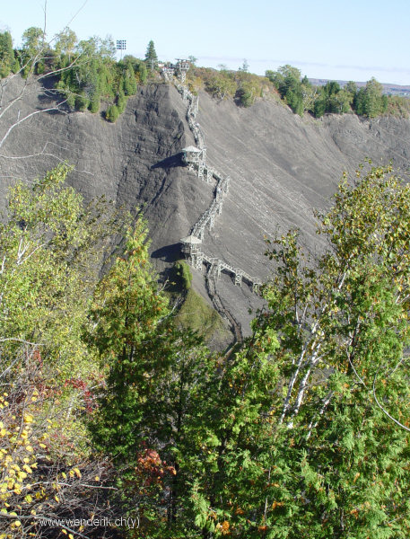 DSC05531_w_h600_c15.jpg