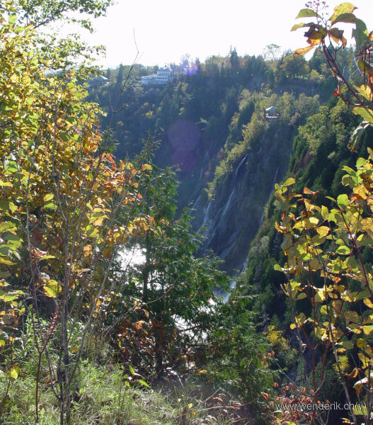 DSC05546_w_h600_c15.jpg