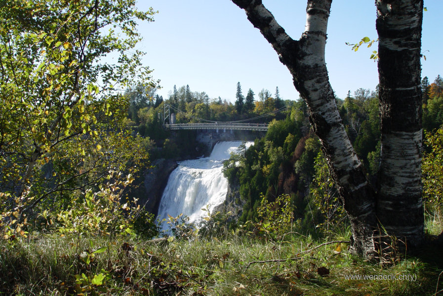 DSC05548_w_h600_c15.jpg
