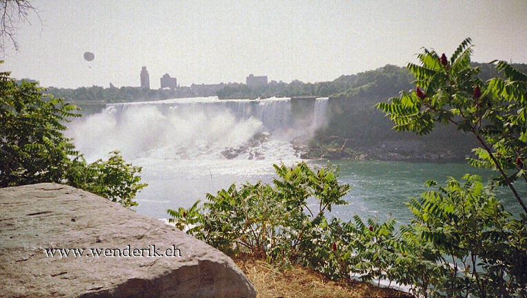 DSC00017_w_h432_c15.jpg