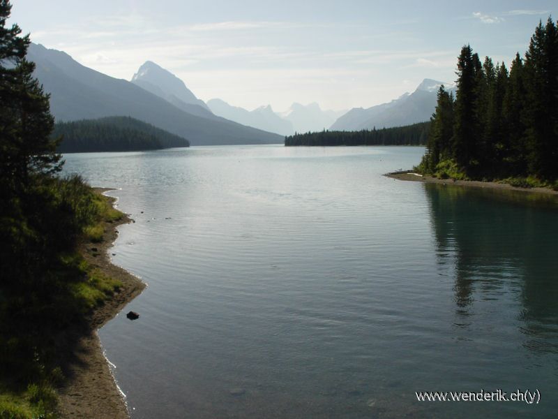 DSC08143_w_h6001.jpg