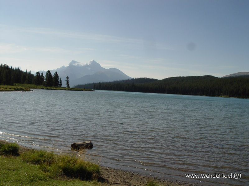 DSC08153_w_h6001.jpg