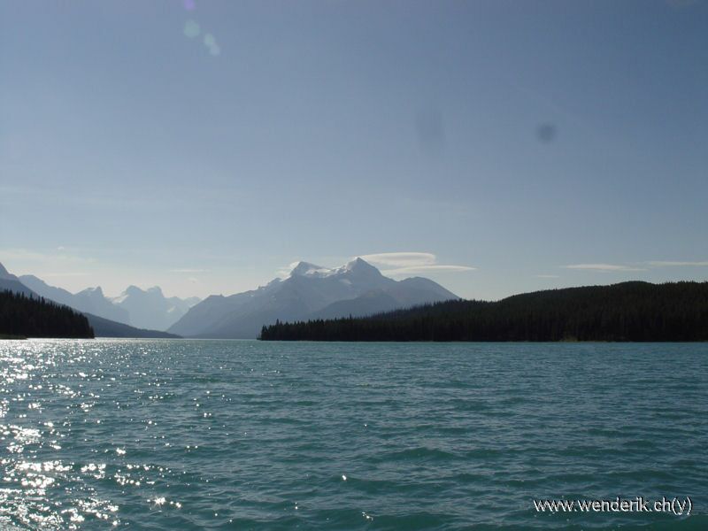 DSC08165_w_h6001.jpg