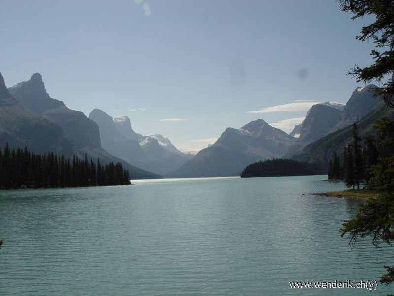 DSC08188_w_h6001.jpg
