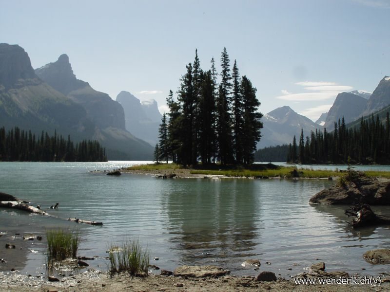 DSC08203_w_h6001.jpg