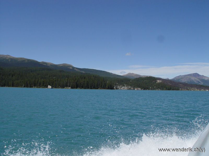DSC08233_w_h6001.jpg
