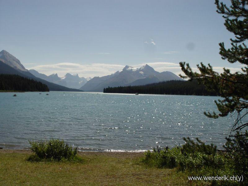 DSC08237_w_h6001.jpg