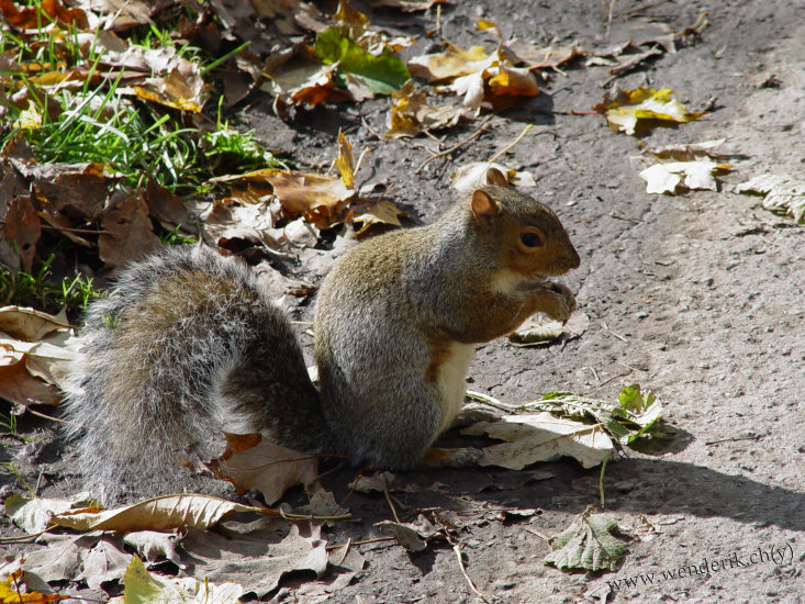 DSC06800_w_h550_c15.jpg