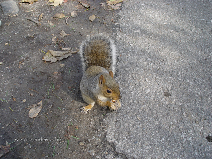 DSC06808_w_h550_c15.jpg
