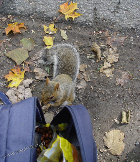 DSC06835_w_h550_c15.jpg