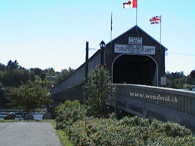 DSC00158_w_h575.jpg