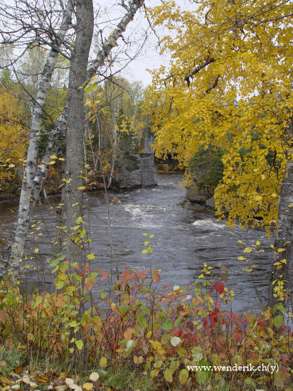 DSC06572_w_h550_c15.jpg