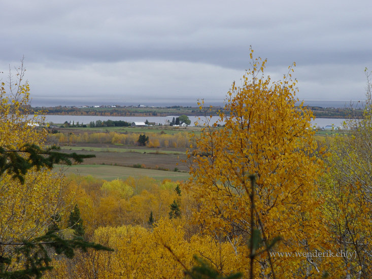 DSC06614_w_h550_c15.jpg