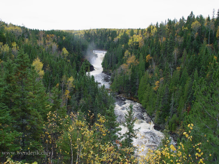 DSC06637_w_h550_c15.jpg