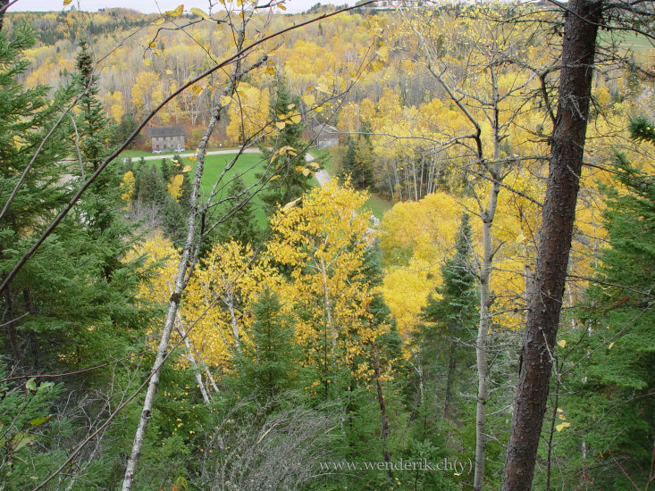DSC06650_w_h550_c15.jpg