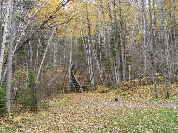 DSC06656_w_h550_c15.jpg