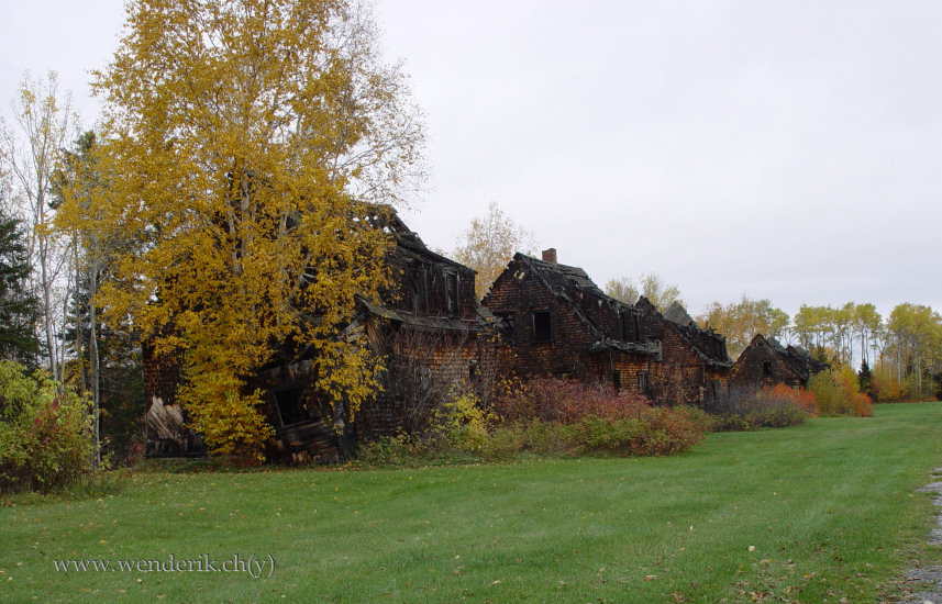 DSC06663_w_h550_c15.jpg