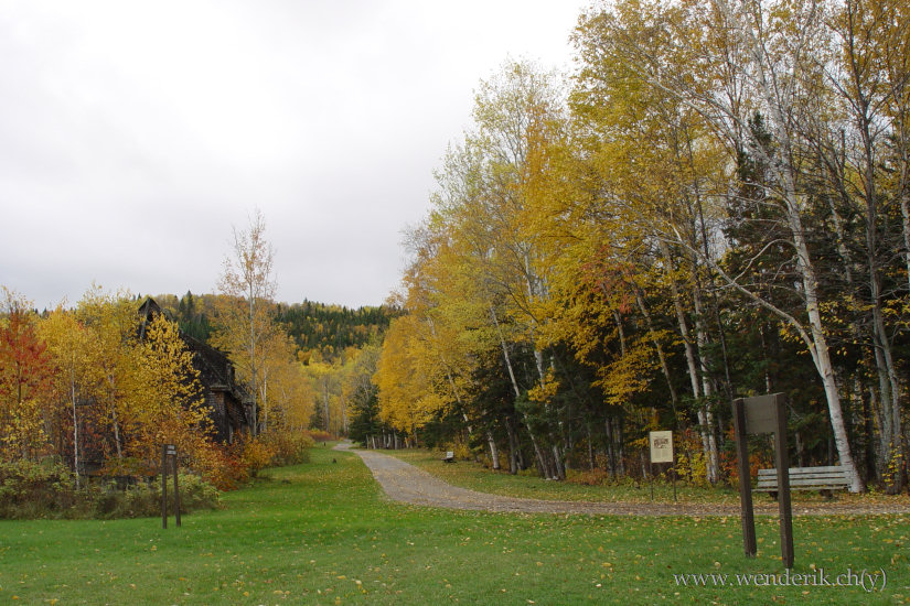 DSC06668_w_h550_c15.jpg