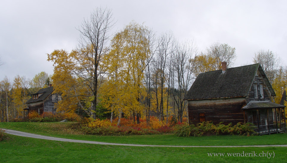 DSC06675_w_h550_c15.jpg