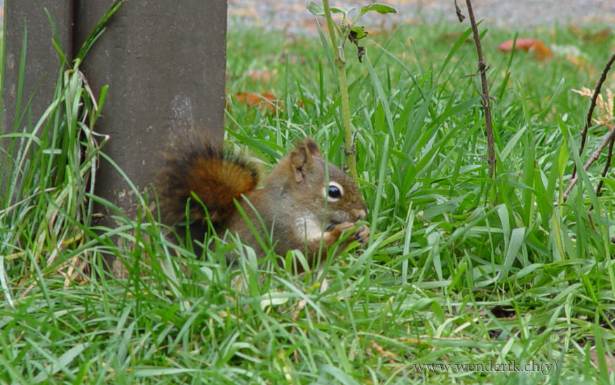 DSC06693_w_h550_c15.jpg