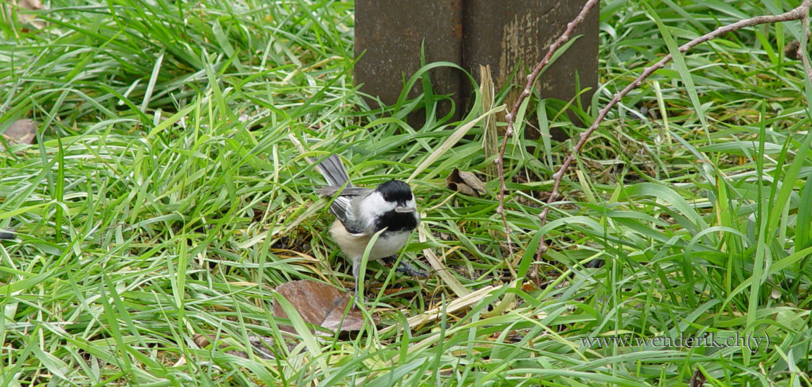 DSC06700_w_h550_c15.jpg