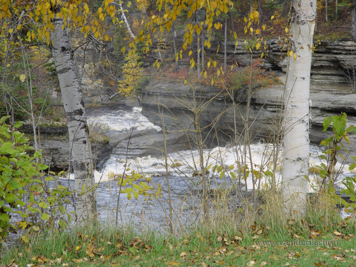DSC06702_w_h550_c15.jpg