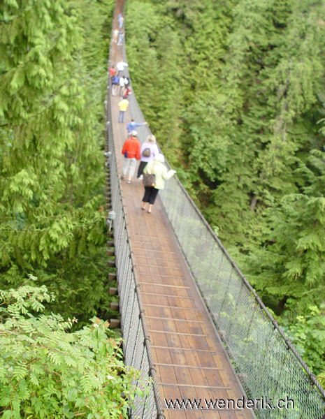 DSC00346_w_h6001.jpg