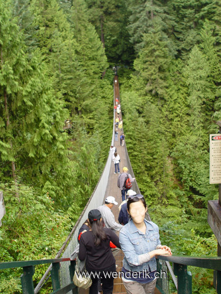 DSC00349_w_h6001.jpg