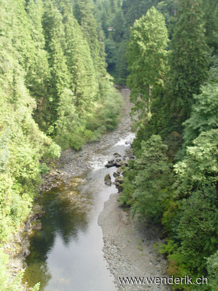 DSC00355_w_h6001.jpg