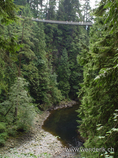 DSC00400_w_h6001.jpg