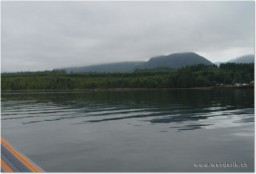 DSC09079_w_h6001.jpg
