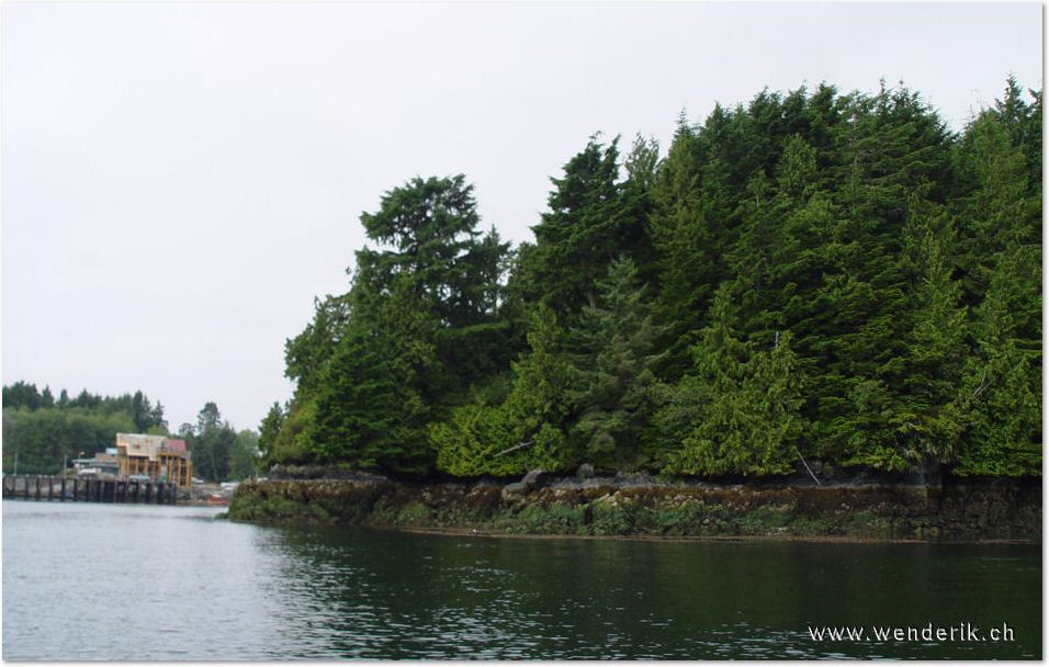 DSC09109_w_h6001.jpg