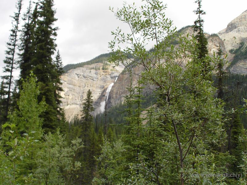  TAKAKKAW Falls, Field, Yoho national Park, British Columbia, Canada... 