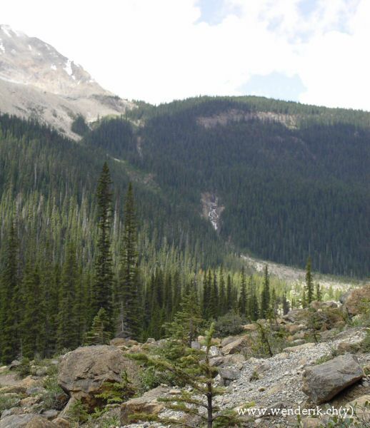  TAKAKKAW Falls, Field, Yoho national Park, British Columbia, Canada... 