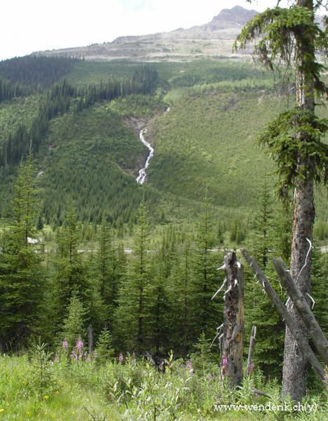  TAKAKKAW Falls, Field, Yoho national Park, British Columbia, Canada... 