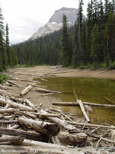  TAKAKKAW Falls, Field, Yoho national Park, British Columbia, Canada... 