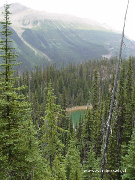  TAKAKKAW Falls, Field, Yoho national Park, British Columbia, Canada... 