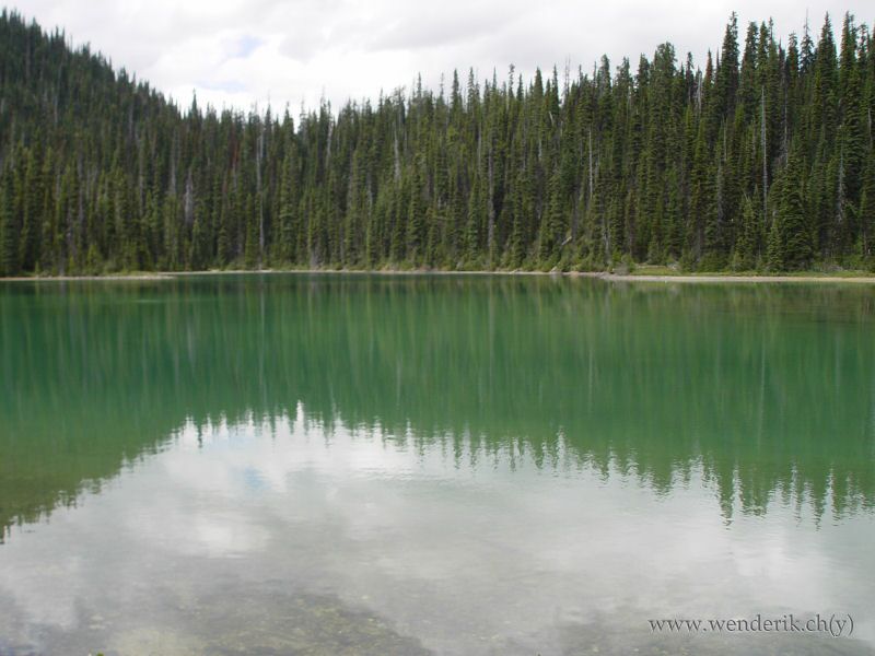  YOHO Lake, Field, Yoho national Park, British Columbia, Canada... 